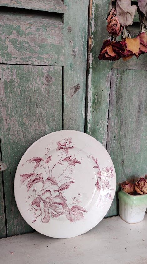 Flat plate iron earth / Christmas rose