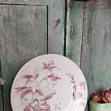 Flat plate iron earth / Christmas rose