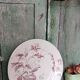 Flat plate iron earth / Christmas rose