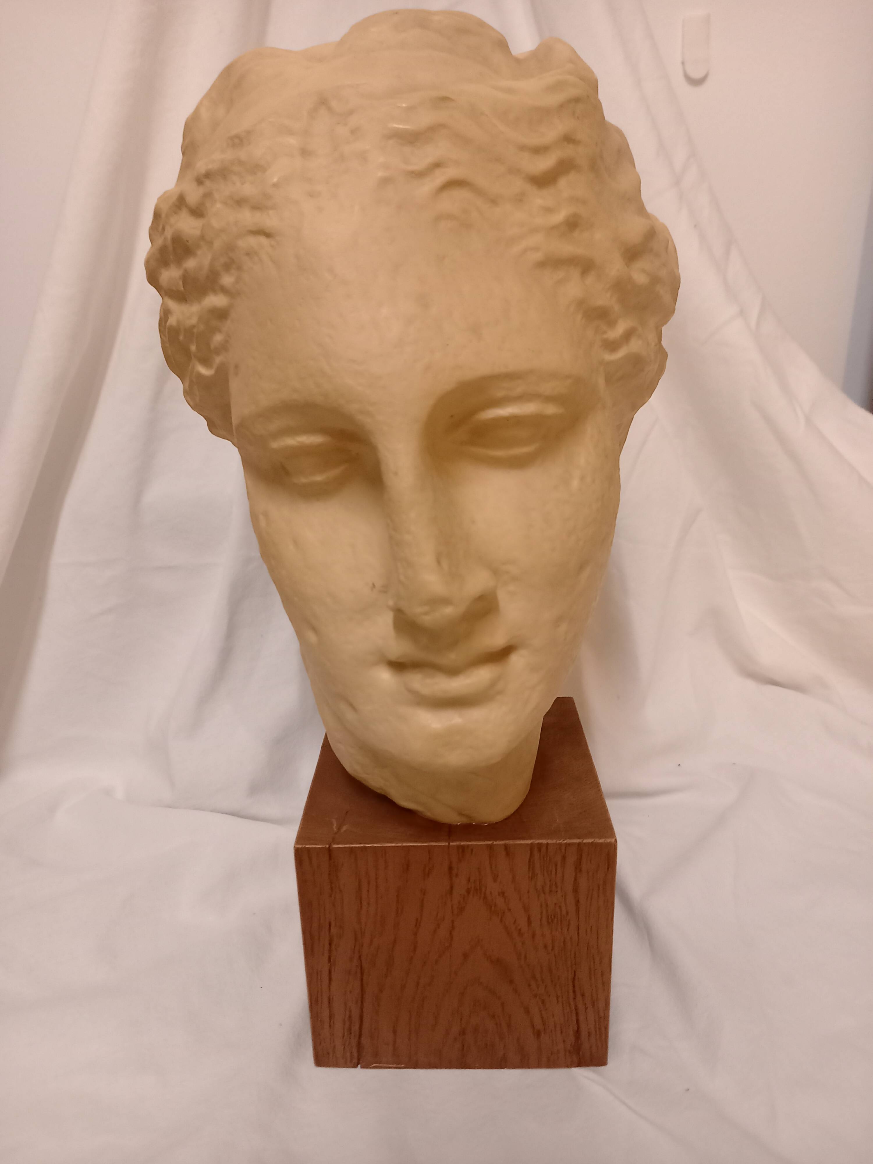 Head of the goddess Hygieia, Greek sculpture of the second classicism, cast from the Louvre Museum