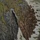 Lithograph by Henri Rivière Aspects of Nature - The Cliff