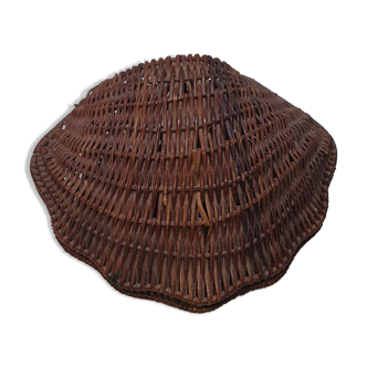 Trinket bowl shell st jacques in wicker