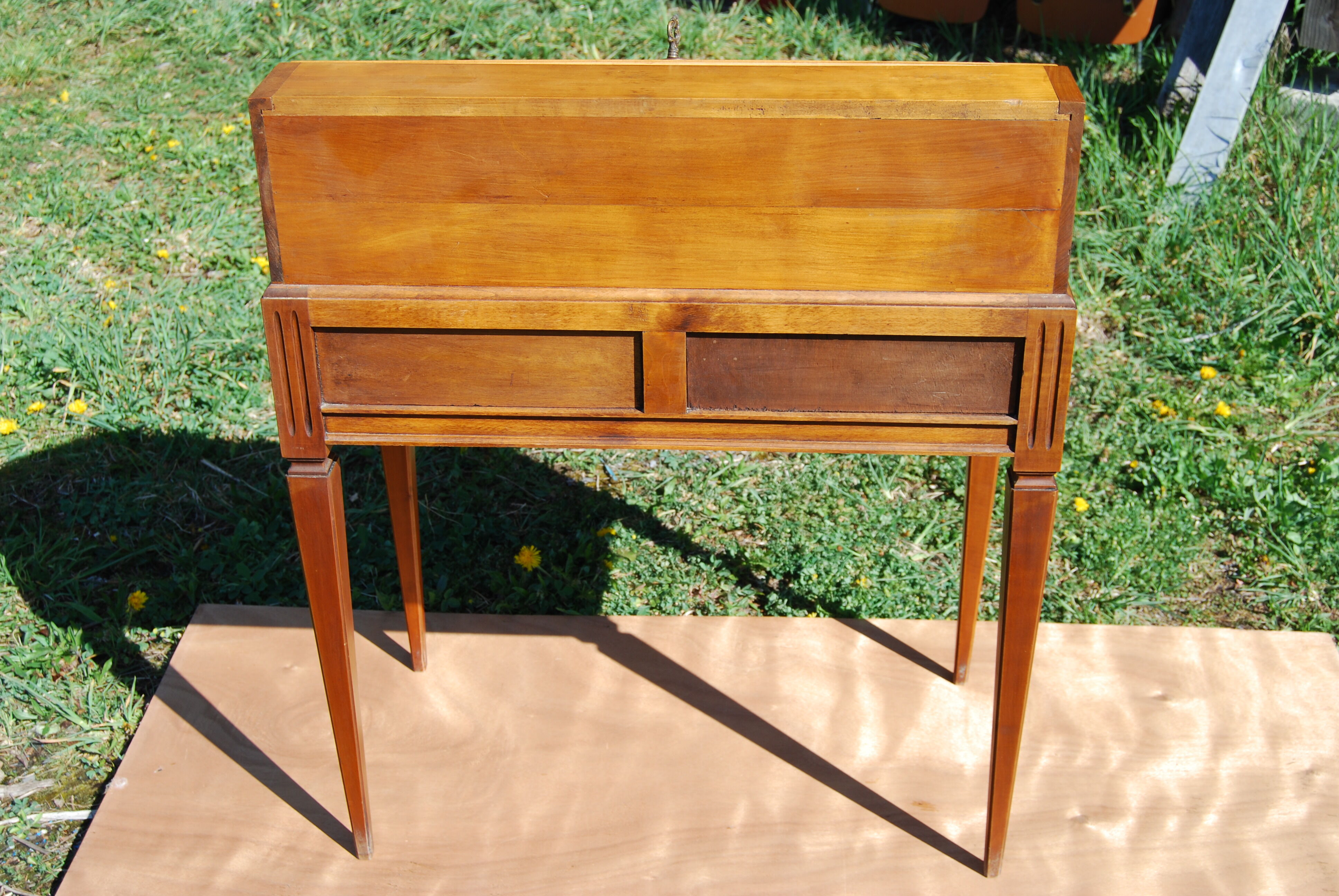 Louis XVI-style donkey back in cherry tree