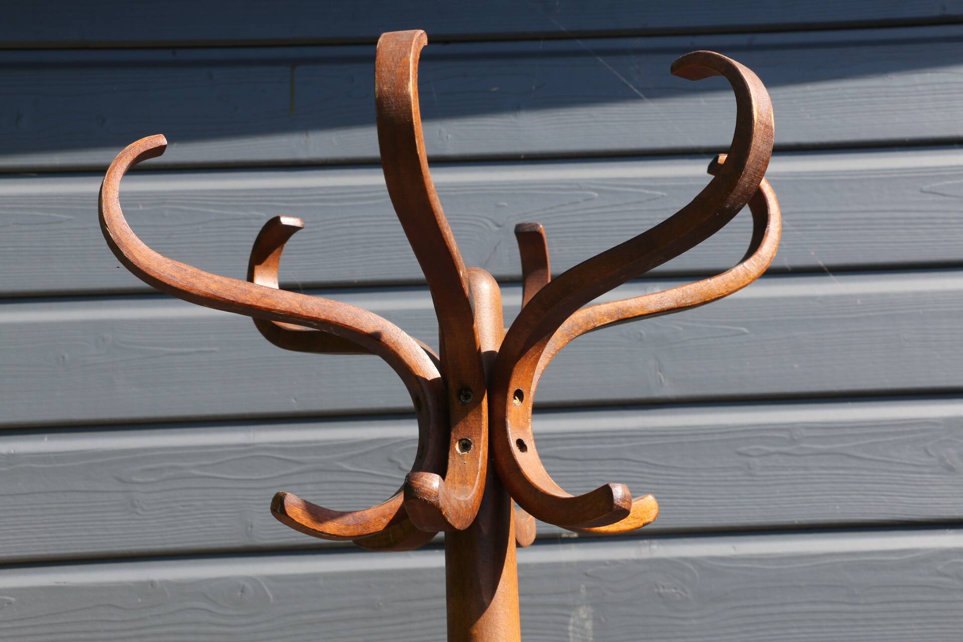 BAUMANN parrot coat rack simple dark beech