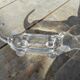 Vide-poche chien teckel cristal art Vannes Le Chatel