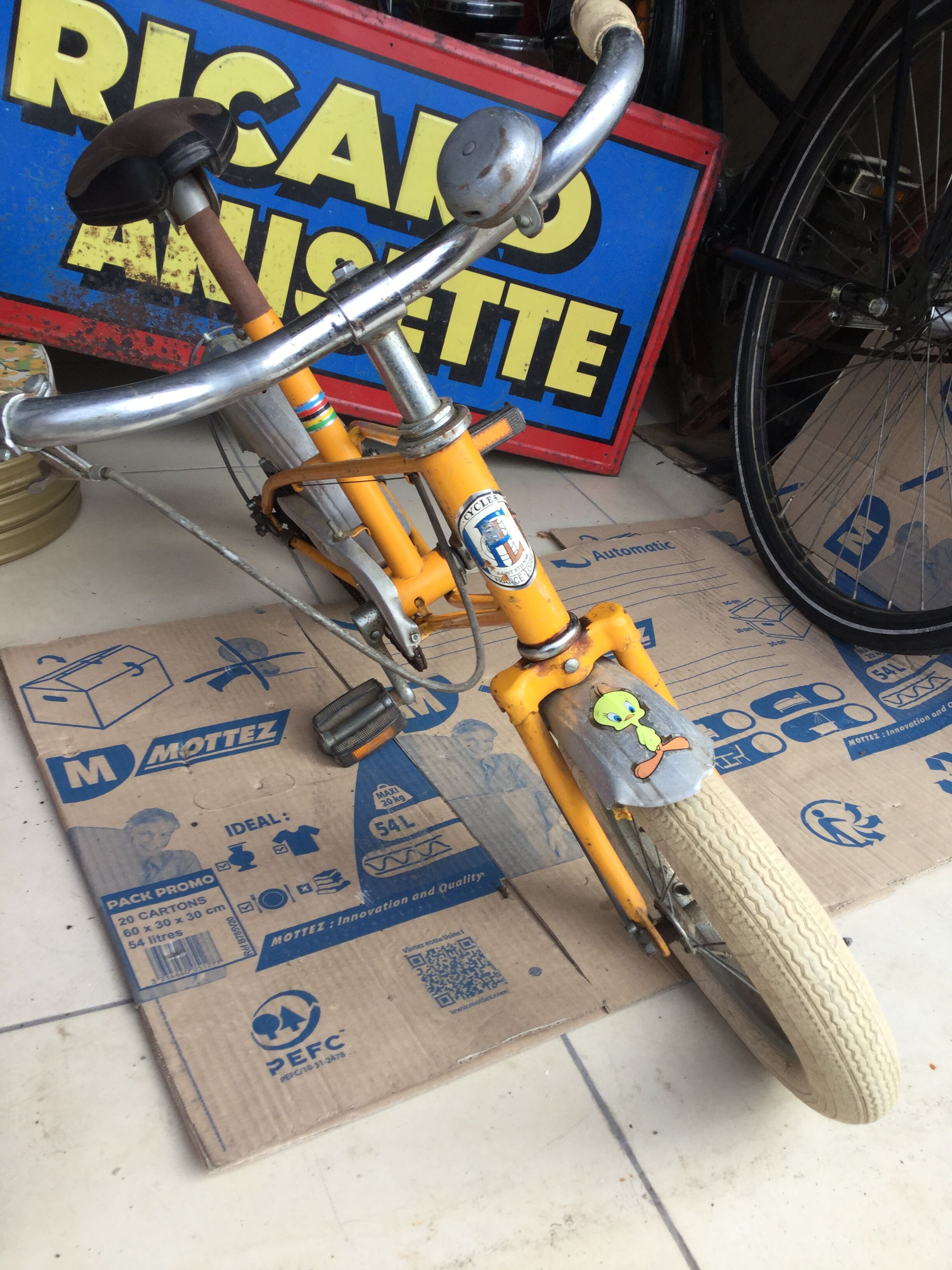 Child bike France Loire