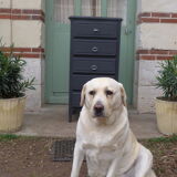 Renovated black chest of drawers
