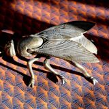 Vintage brass fly ashtray 1970