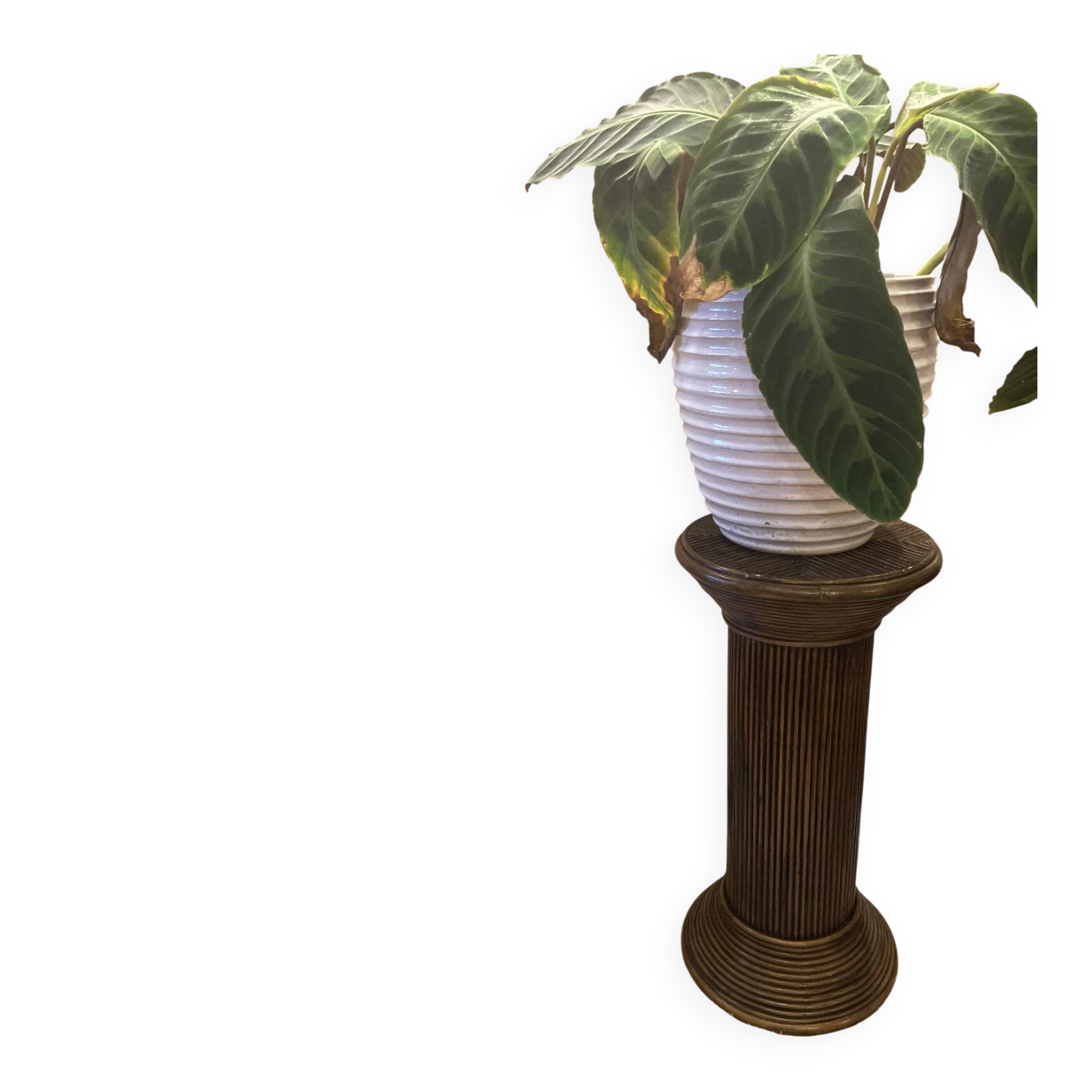 Vintage rattan plant pedestal