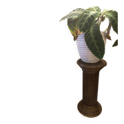 Vintage rattan plant pedestal