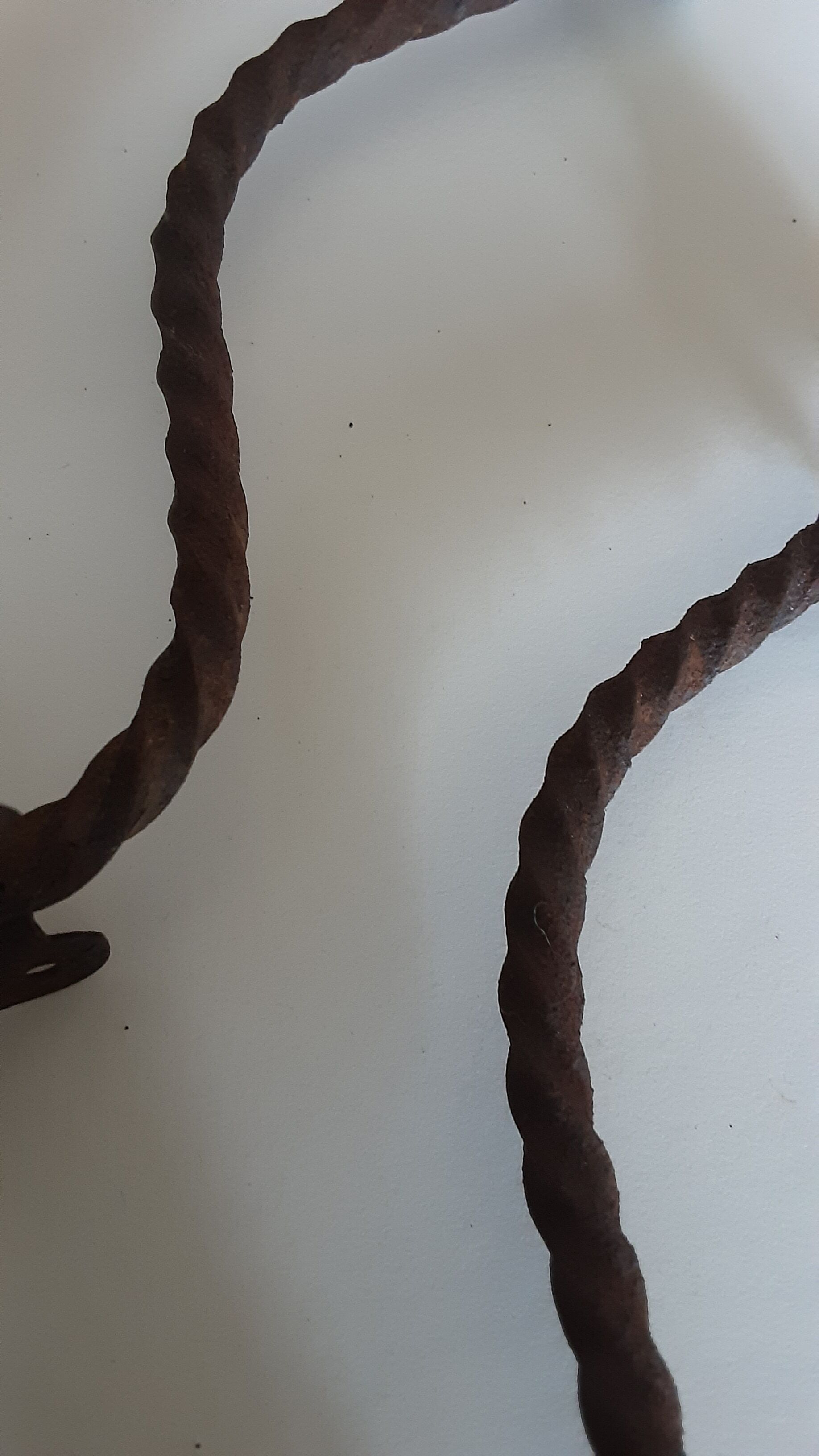 Ancient patères - porcelain