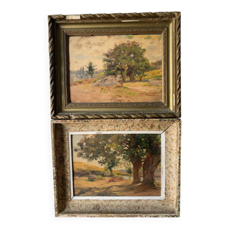 Paire de Tableaux Huiles Impressionnistes Paysages Vintages Anciens