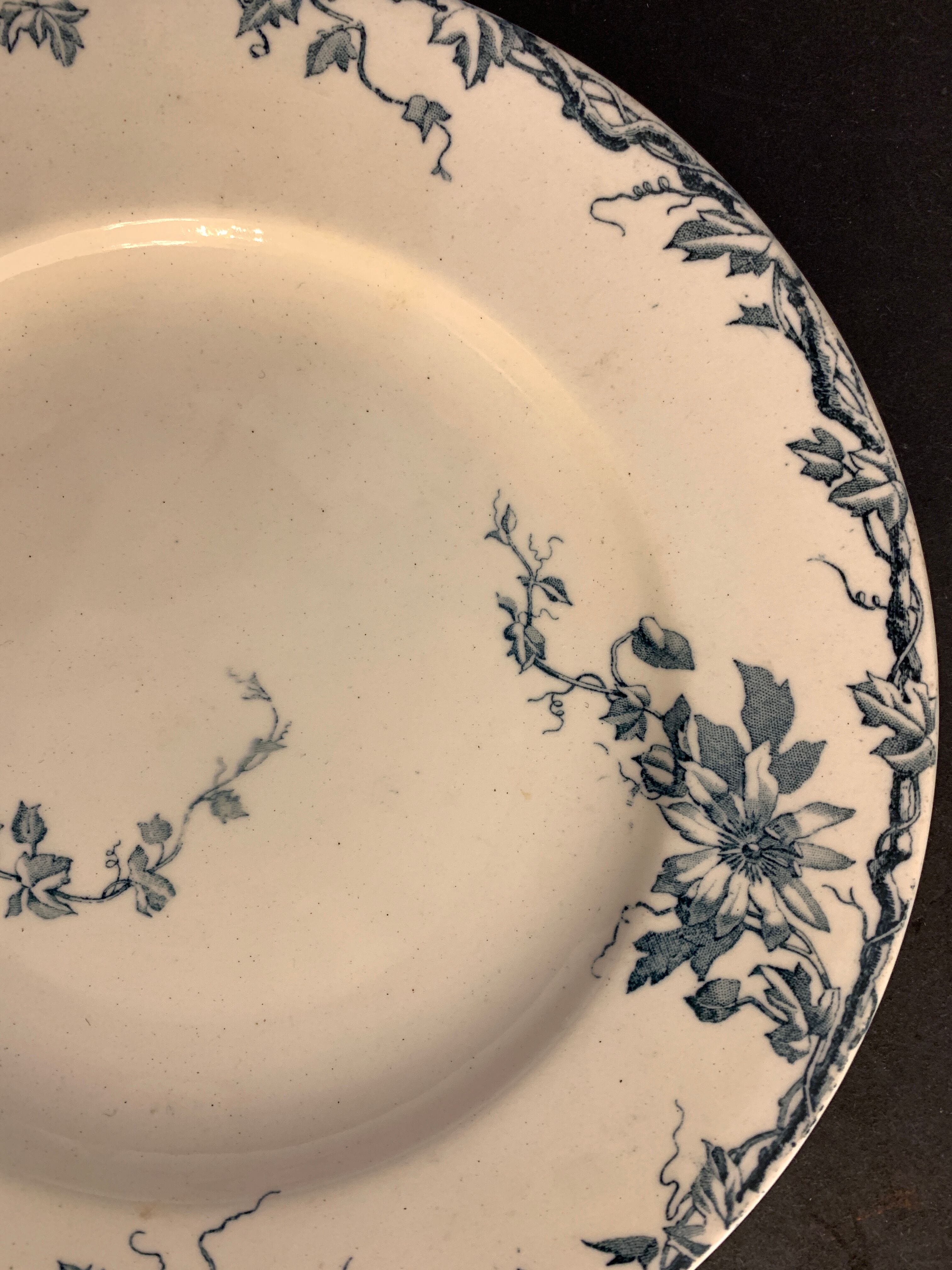 Set of 10 dessert plates KG Lunéville Passiflore model