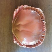 Vintage crab box in ceramic signed Caugant