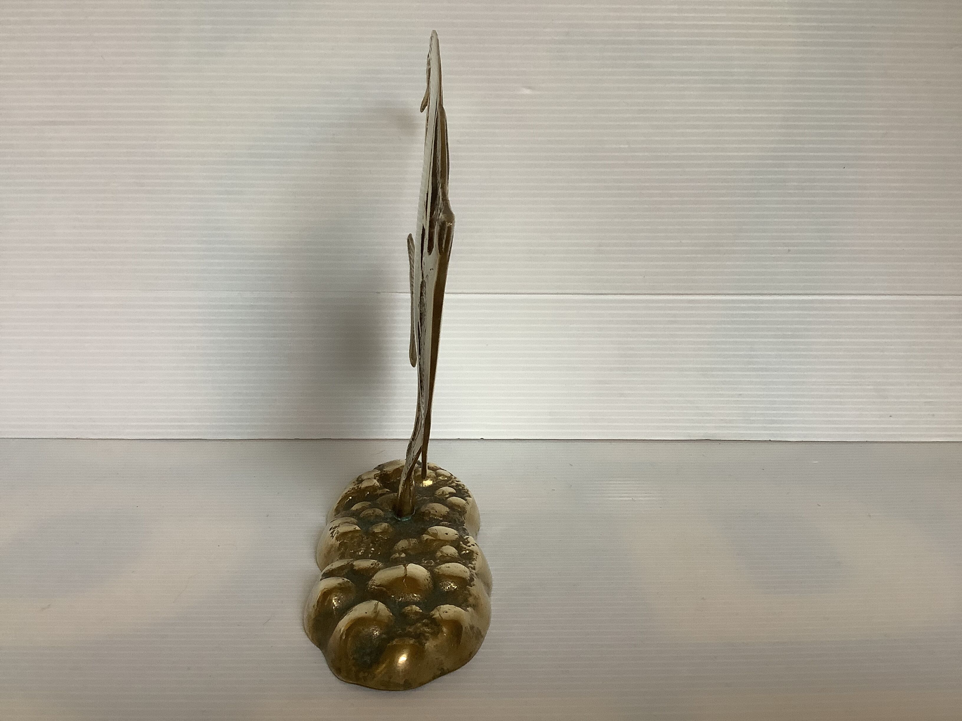 Brass scalar fish