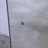 Scandinavian mirror 72 x 68 cm