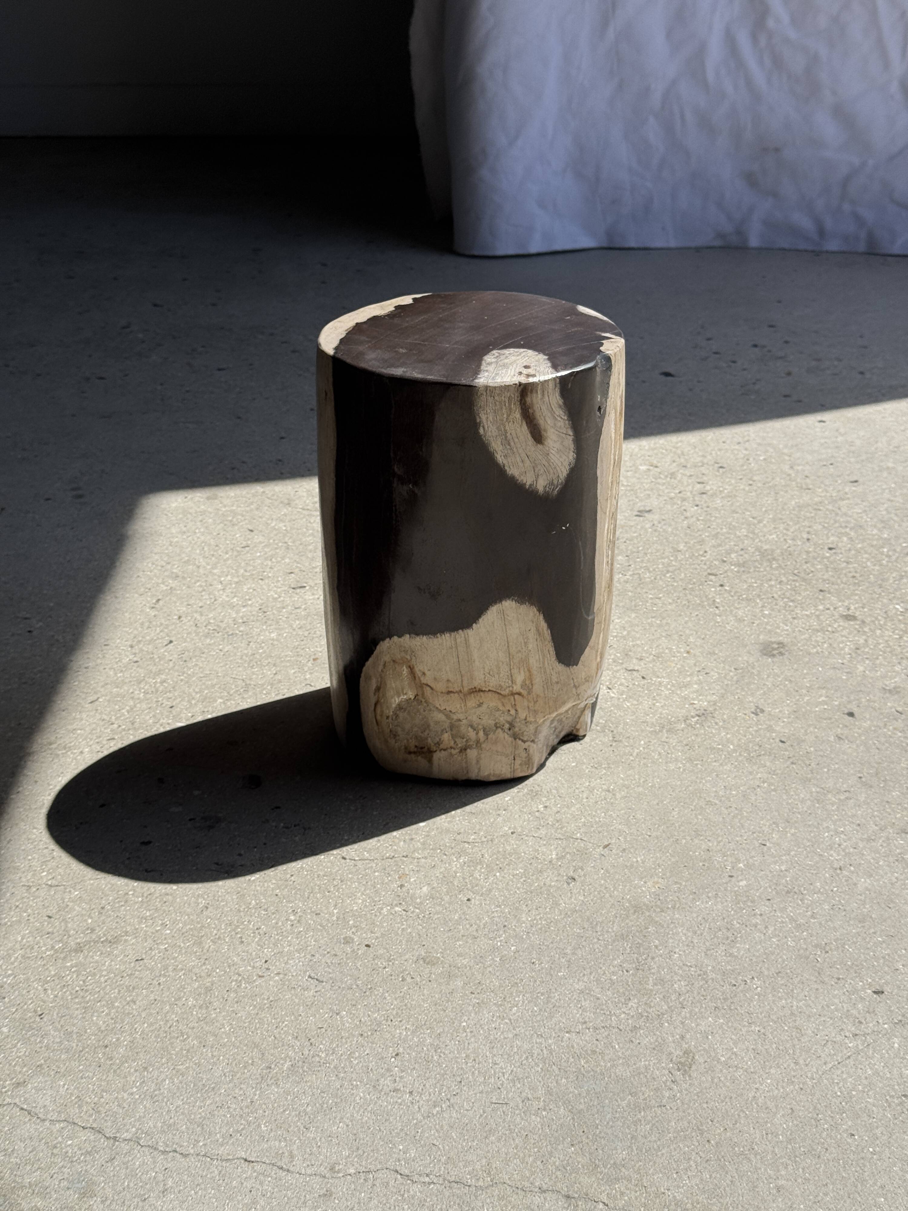 Small side table in black and white petrified wood H28 D18