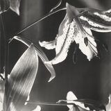 Keiichi Tahara affiche 1989