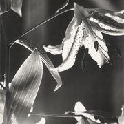 Keiichi Tahara, Poster 1989