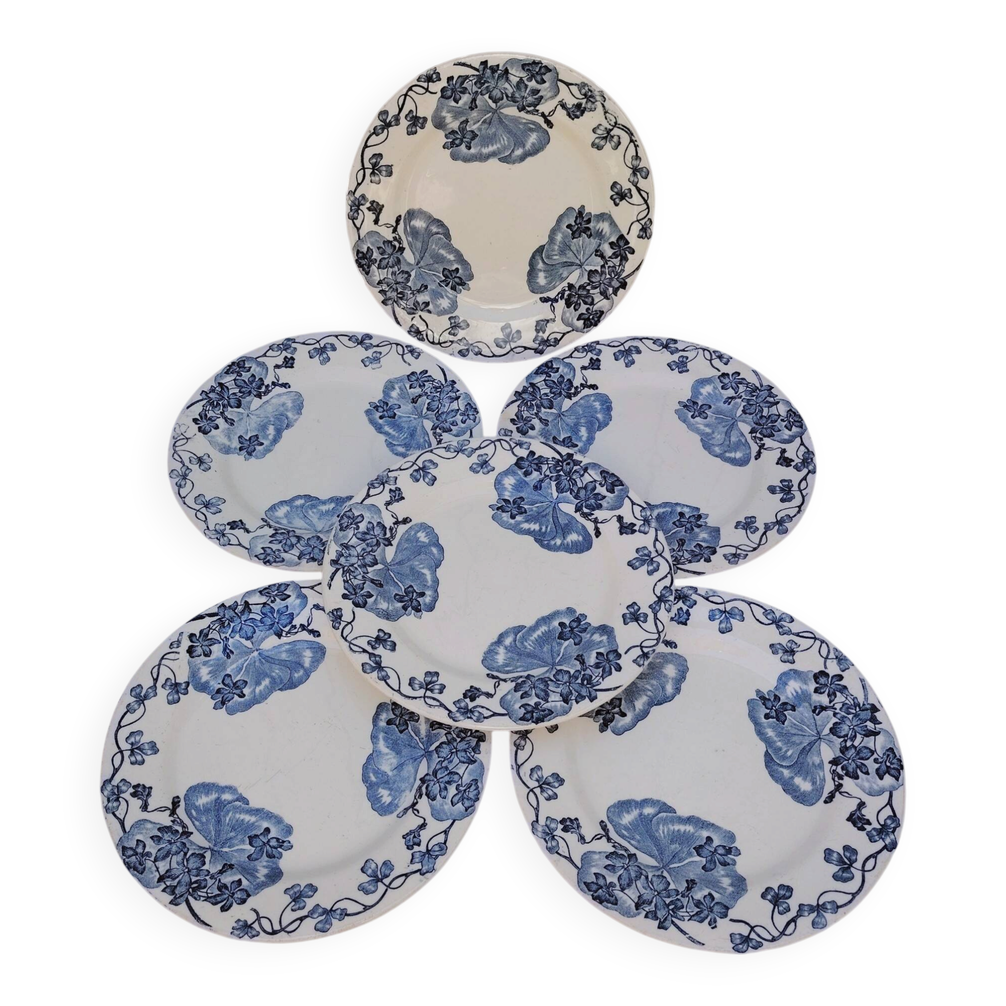 Plates, the salt shakers model the violets, ironstone.