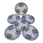 Plates, the salt shakers model the violets, ironstone.
