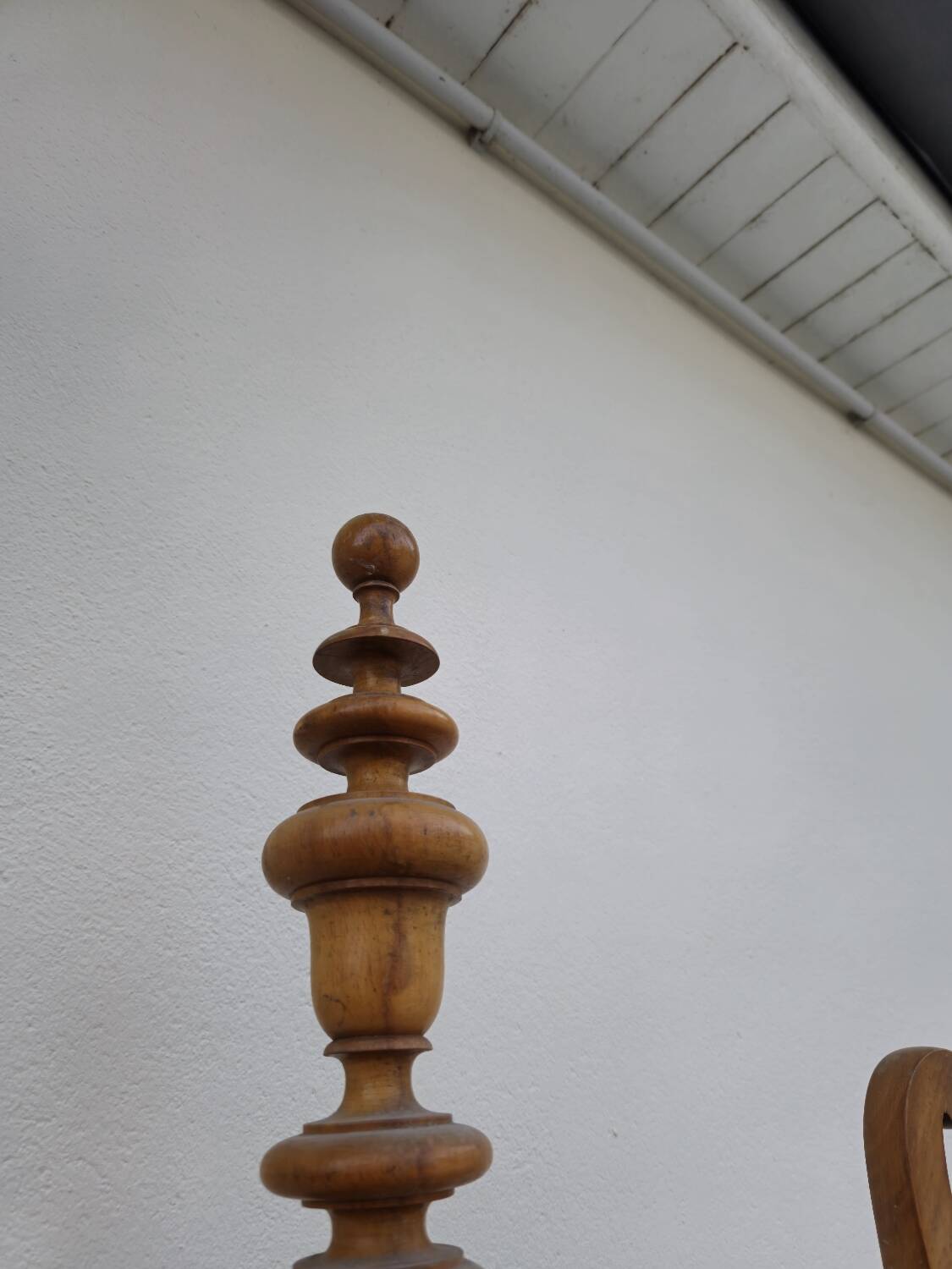 Antique 19th century parrot coat rack