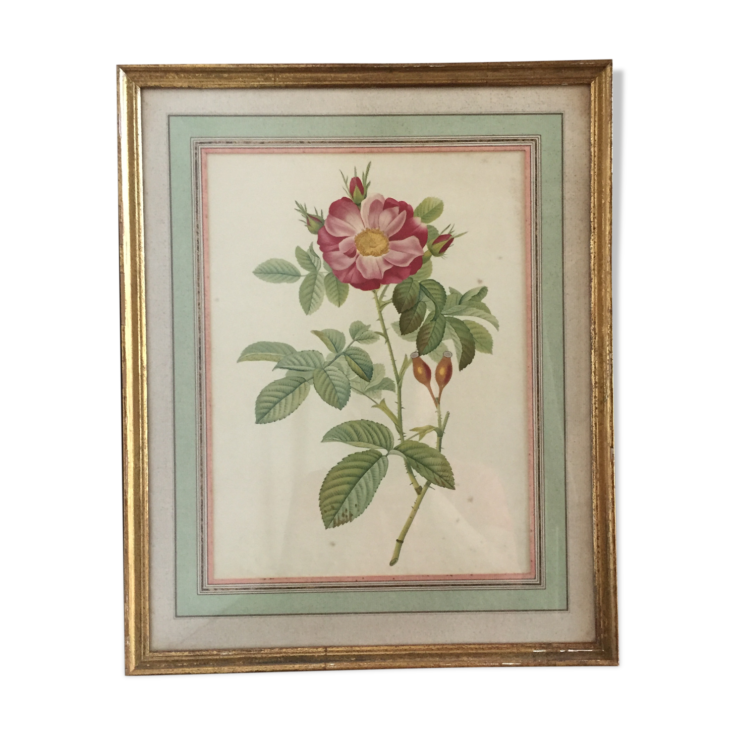 Old framed pink lithograph board