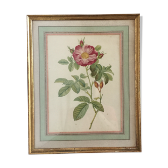 Old framed pink lithograph board