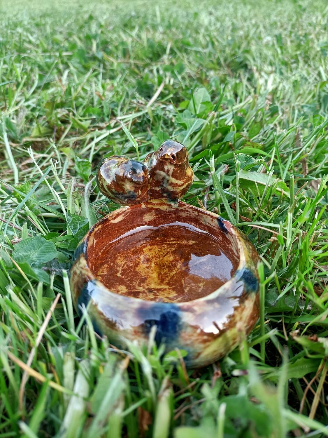 Garden Decoration