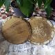 Duo de plateaux florentins en bois