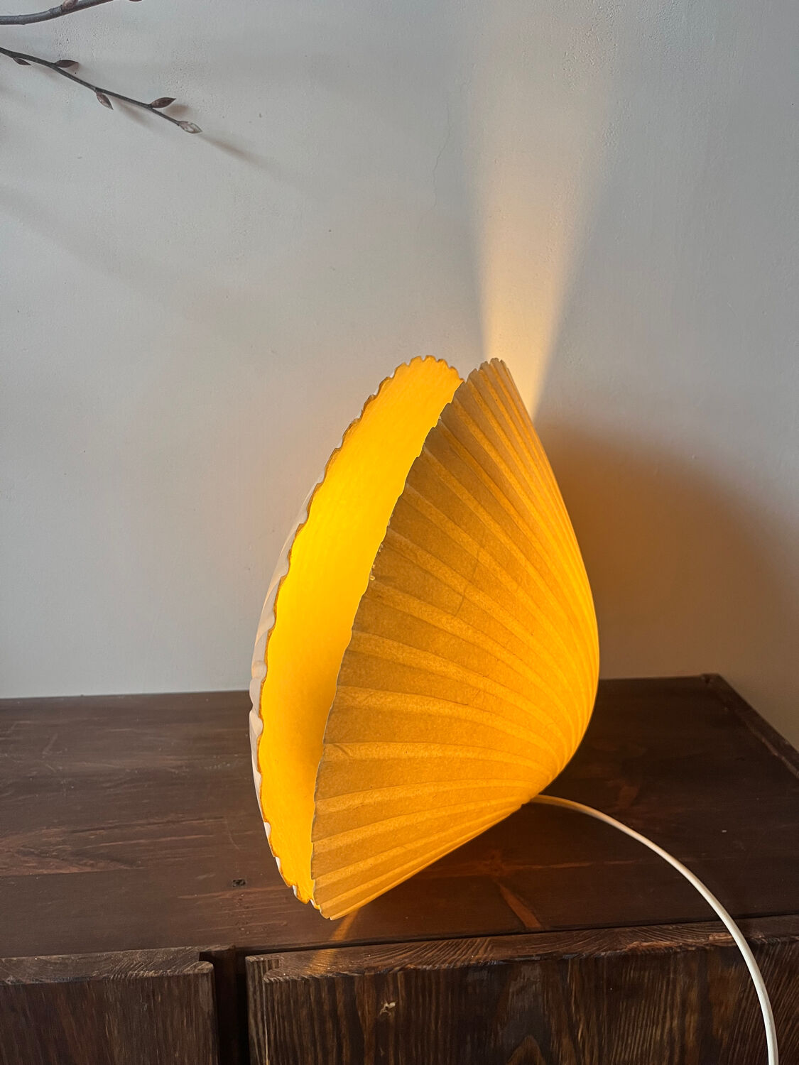 Shell lamp by Michel Mahé + André Cazenave po