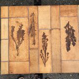 Vintage ceramic coffee table decorated with herbarium decoration Roger Capron