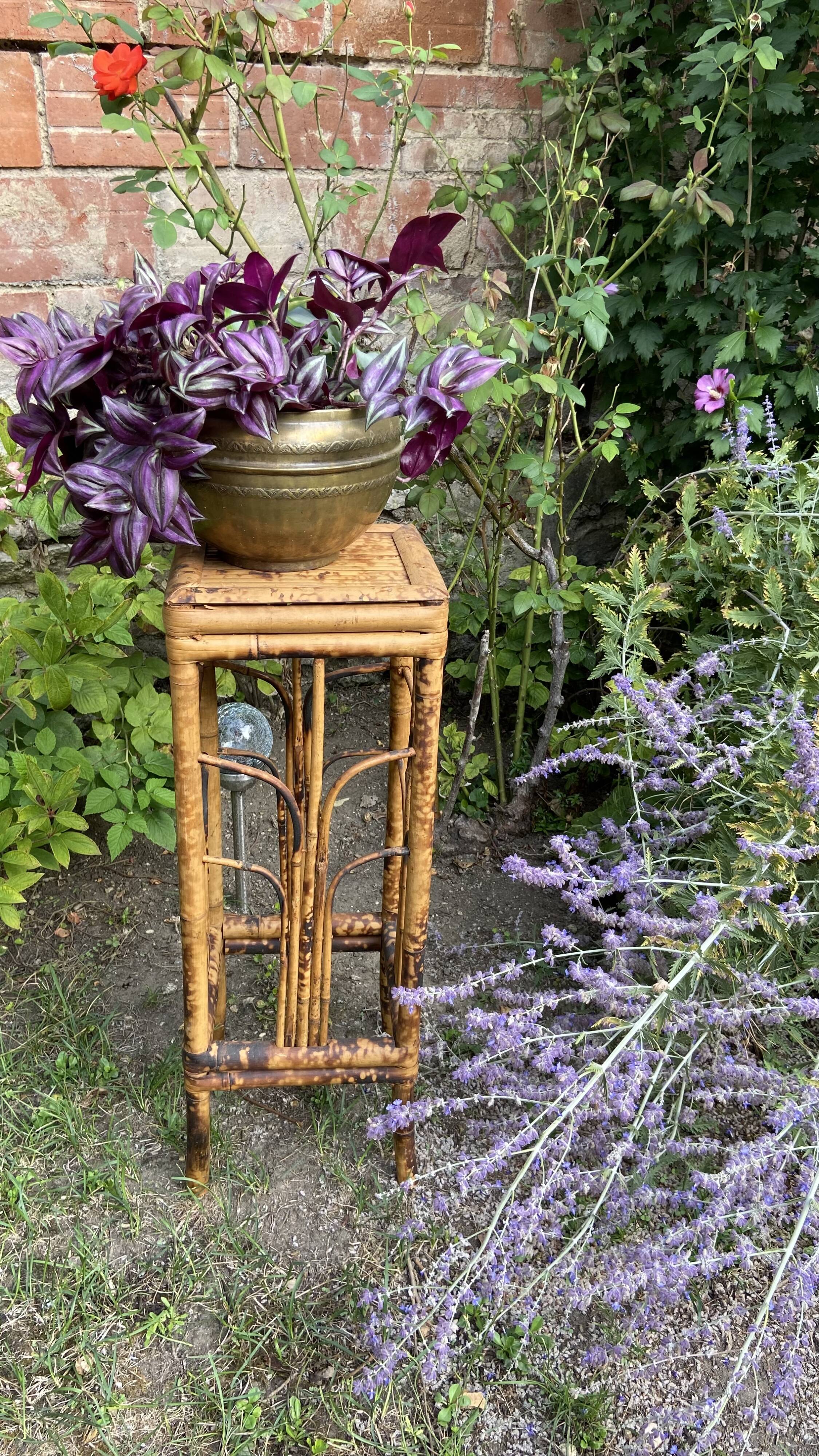 Plant holder or harness in rattan and vintage bamboo