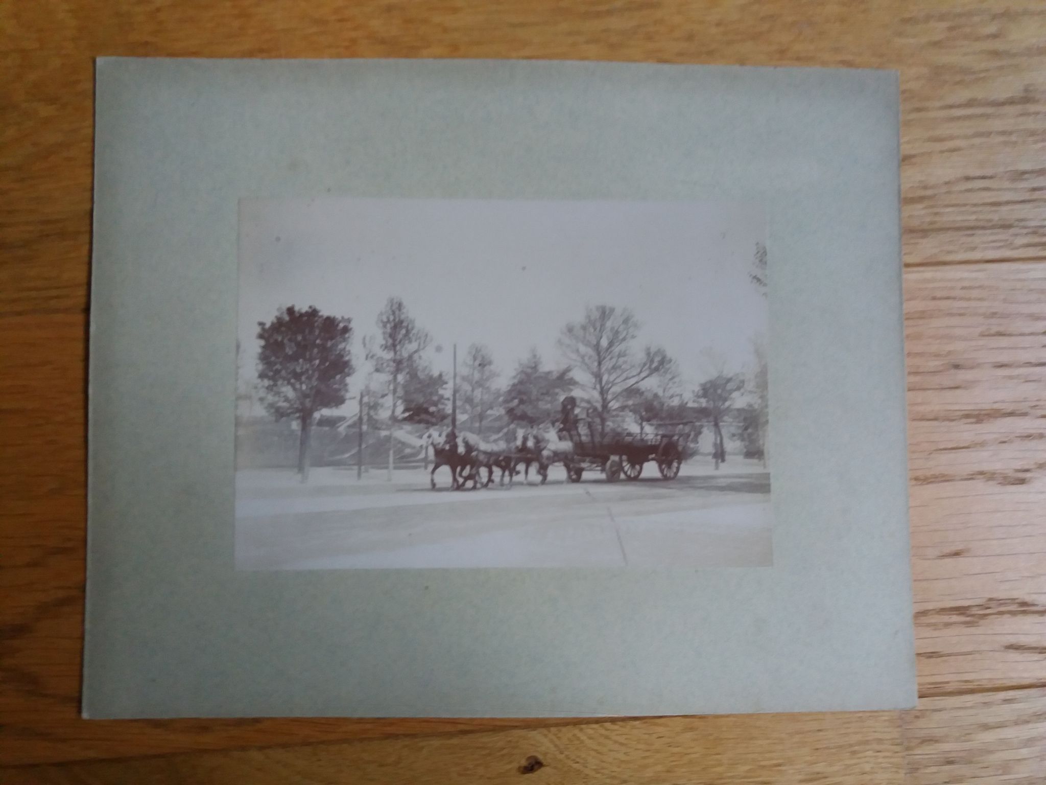 Photographie ancienne 1900 carriole cocher et chevaux
