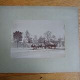 Old photograph 1900 cart, coachman and horses