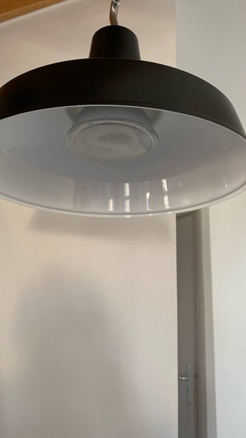 Eleanor Home pendant light