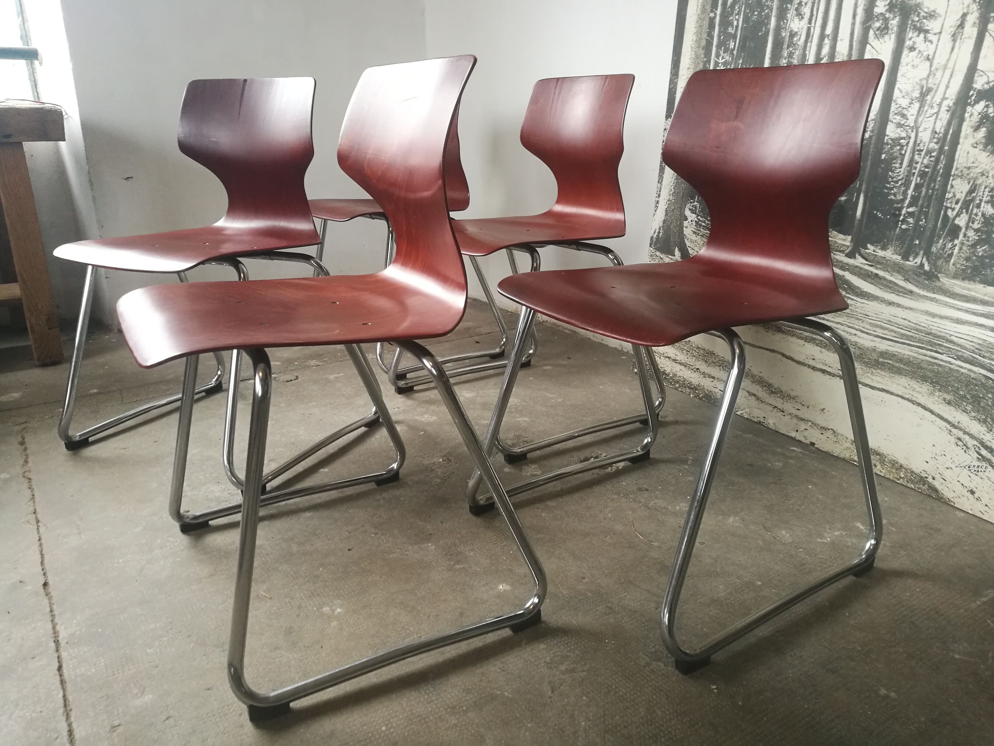 Set of 5 Pagholz / Flototto chairs
