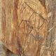 Brutalist africanizing wooden stool carved in the xxth mass