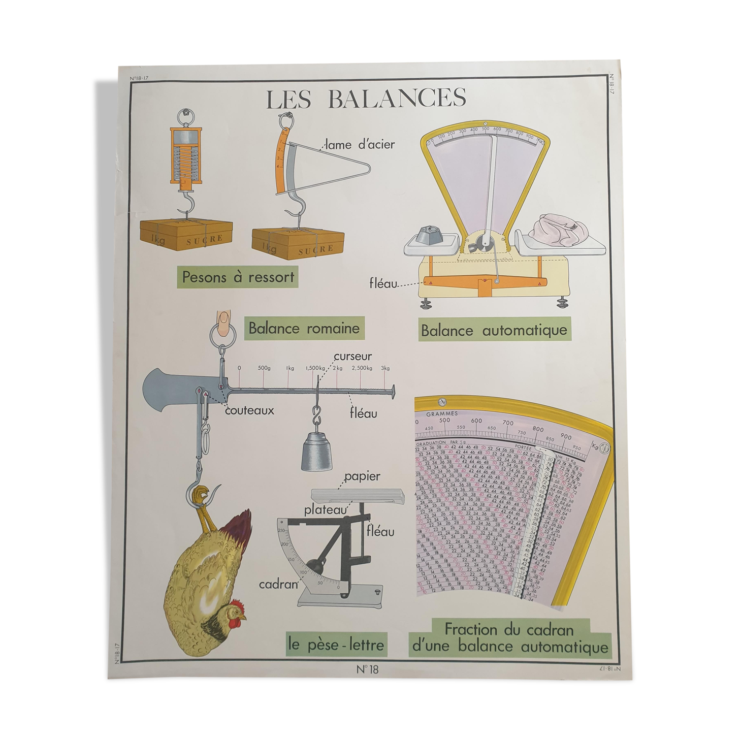 Vintage nightingale pedagogical poster