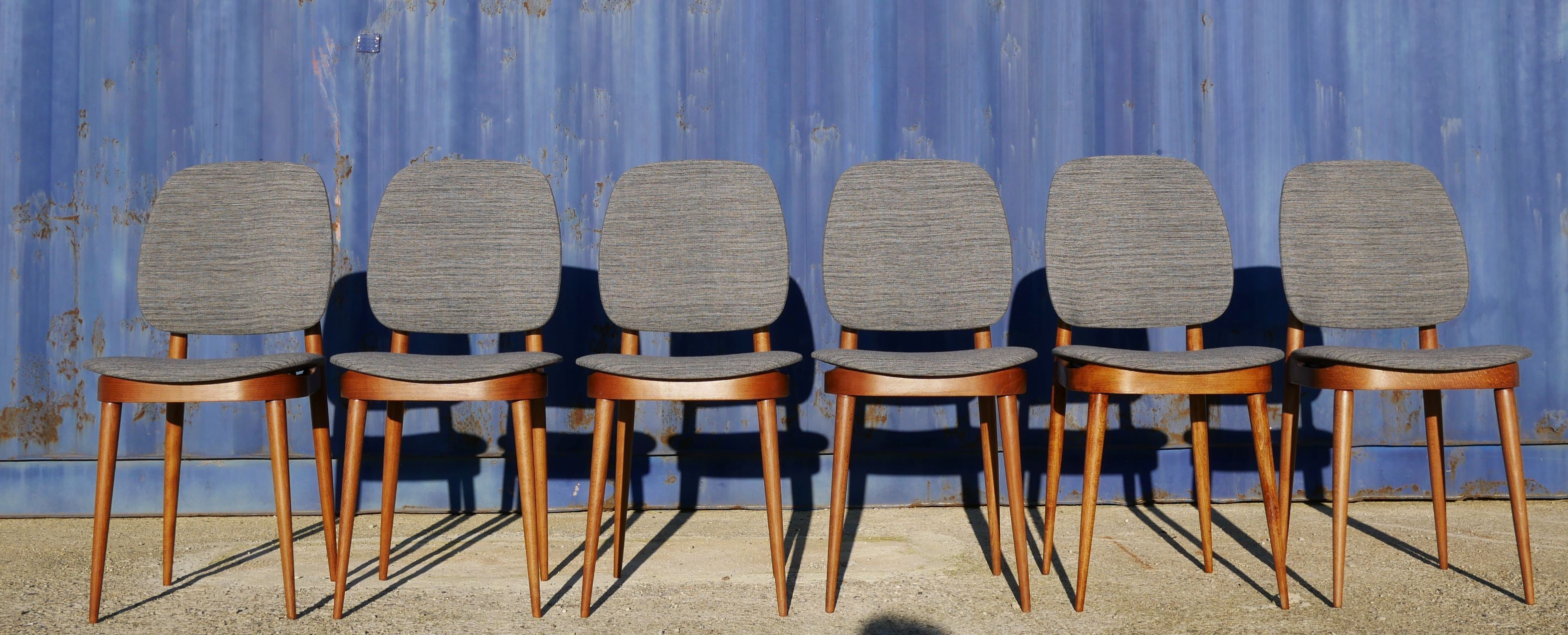 Set of 6 chairs "pegase" by baumann, 60 years