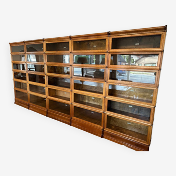 Large Globe Wernicke Bookcase wall