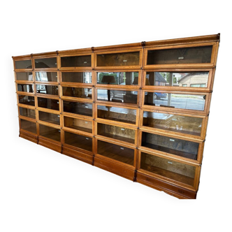 Large Globe Wernicke Bookcase wall