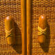 Rattan furniture