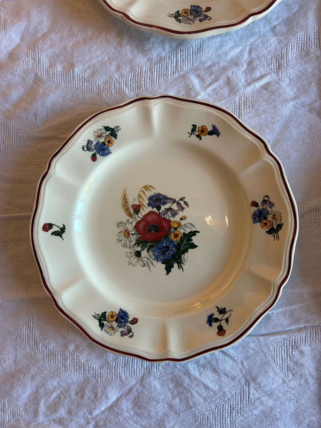 Set of 11 earthenware plates from the Sarreguemines factory, model