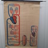 Vintage school poster