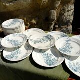 Mignon plates in Longwy earthenware