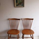 Two Scandinavian Chairs by Yngve Ekstrom for Pastoe 1960