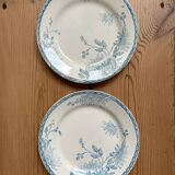 Set of 2 old flat plates