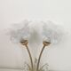 Double bronze sconce