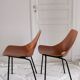 Pair of chairs Amsterdam by Pierre Guariche, recent "House of the World" reissue